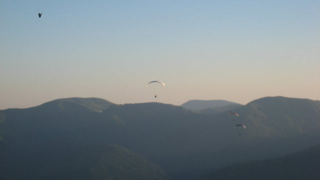 img 091.jpg